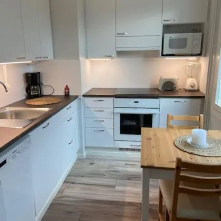 Kaeytaennoellinen Yksioe Rauhallisella Alueella! Apartman