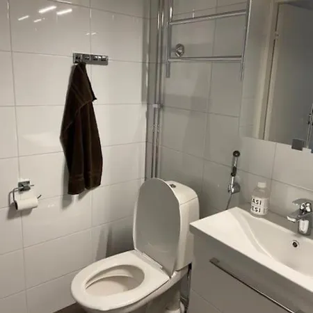 Kaeytaennoellinen Yksioe Rauhallisella Alueella! Apartamento Hyvinkää