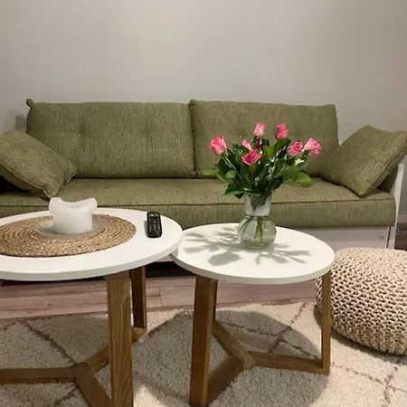 Kaeytaennoellinen Yksioe Rauhallisella Alueella! Apartment